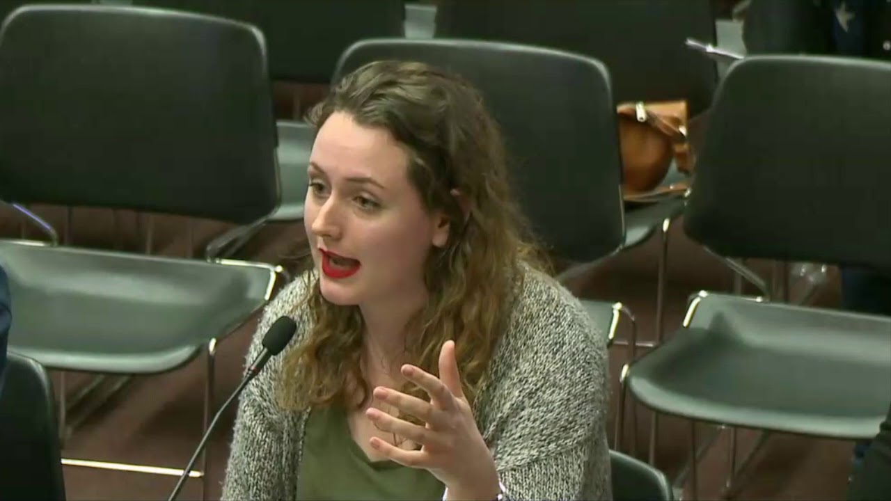 2018-04-03 House Judiciary - DACA 13