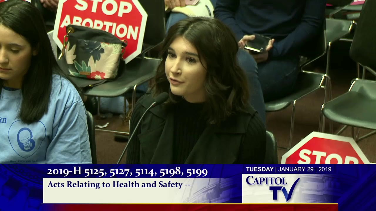 2019 01 30 House Judiciary 133