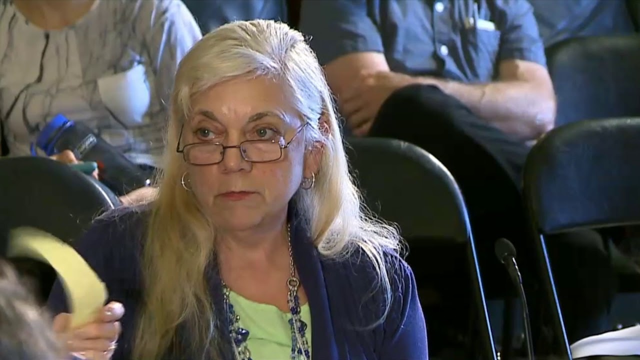 2018-06-06 Senate Enviro & Agri 39