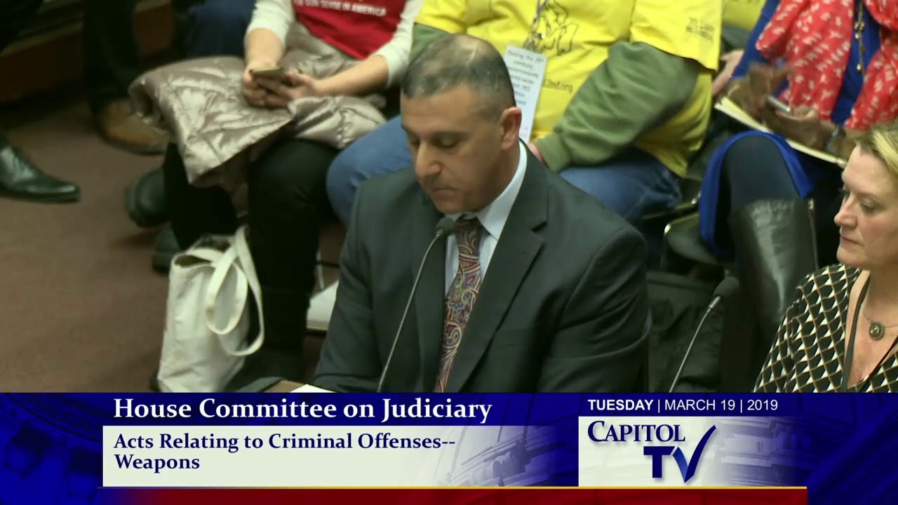 2019-03-19 House Judiciary - Guns 24