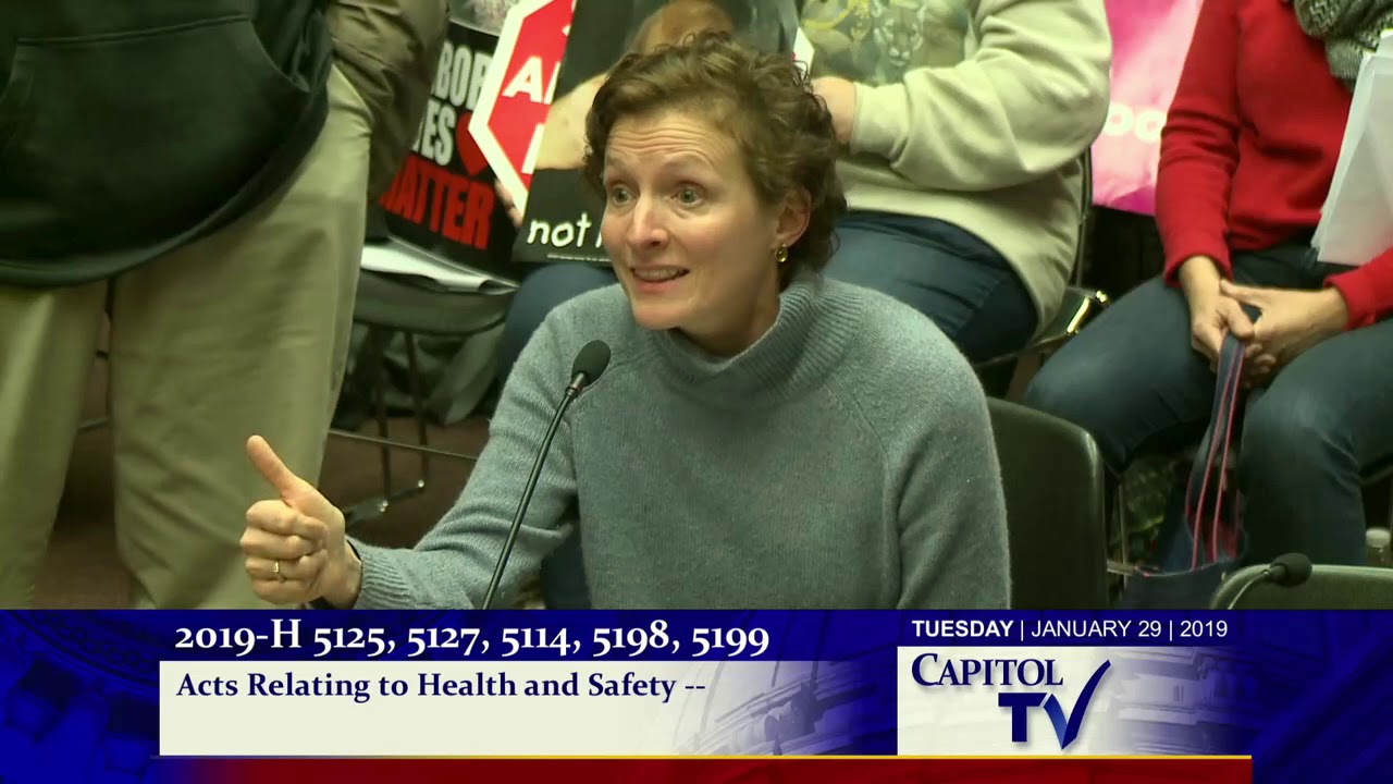 2019 01 30 House Judiciary 110