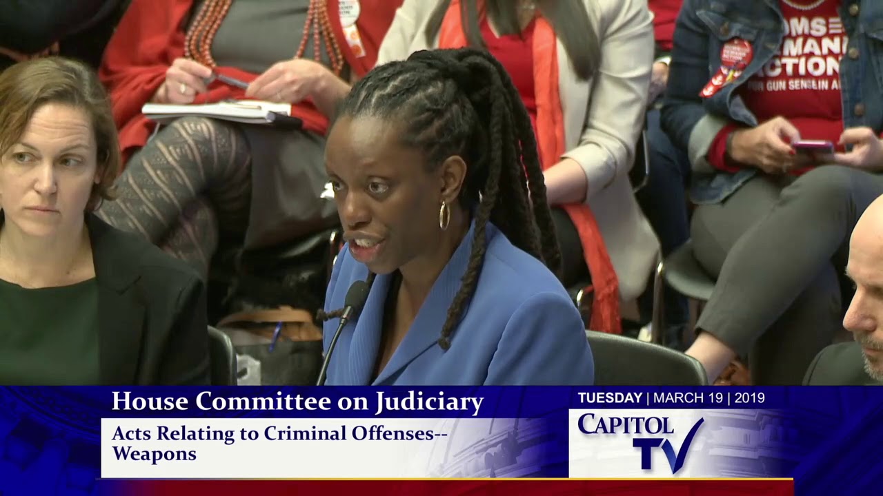 2019-03-19 House Judiciary - Guns 13