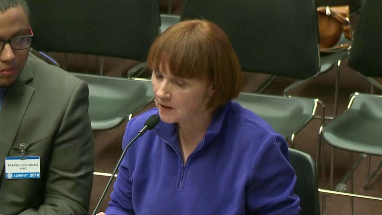 2018-04-03 House Judiciary - DACA 16