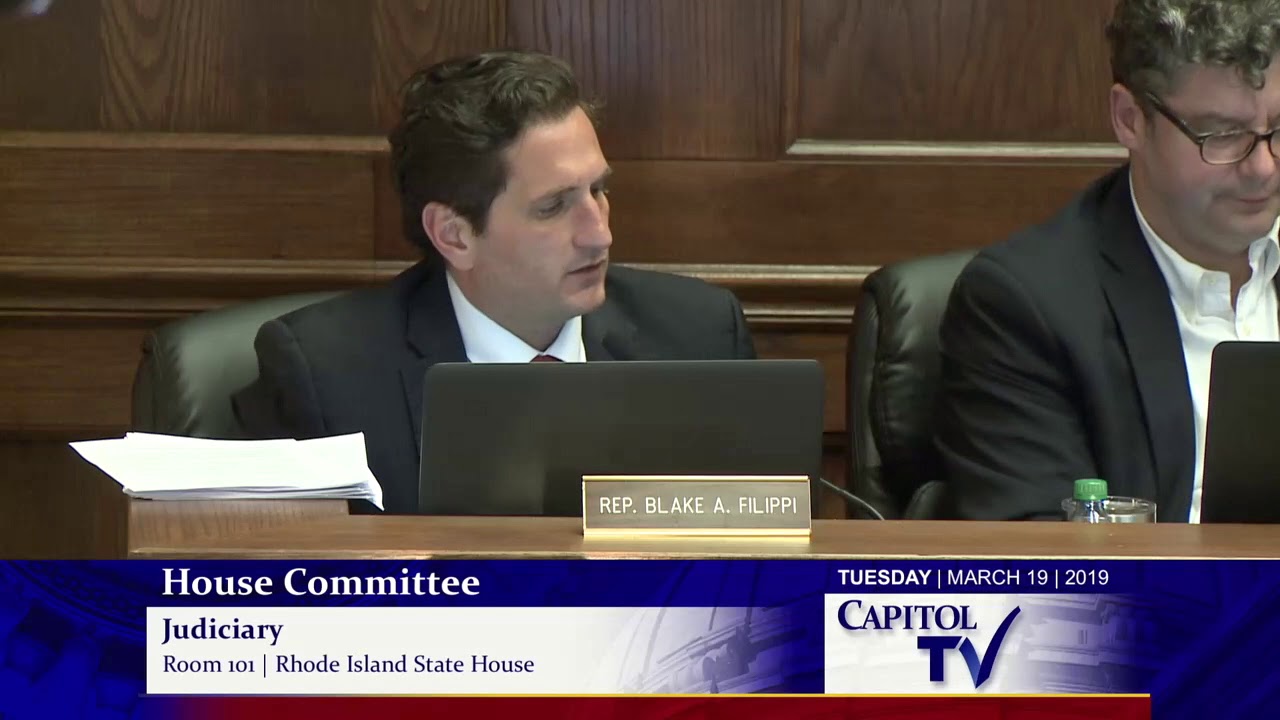 2019-03-19 House Judiciary - Guns 11