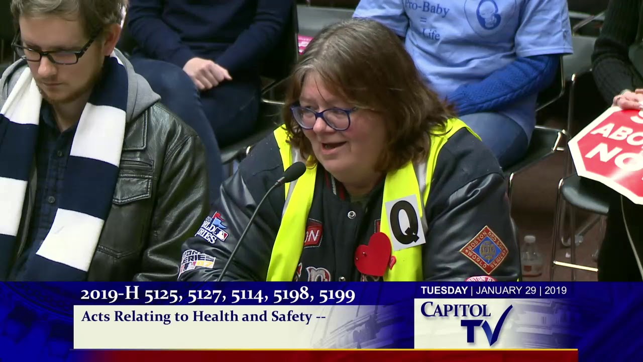 2019 01 30 House Judiciary 114