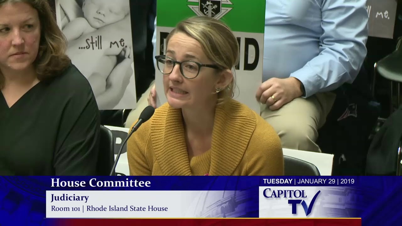 2019-01-30 House Judiciary 21