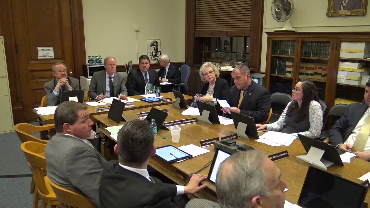 2019-01-29 House Corporations 11