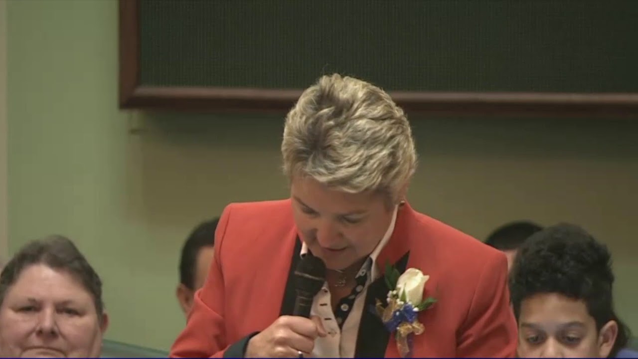 2019-01-01 Senate - Nesselbush