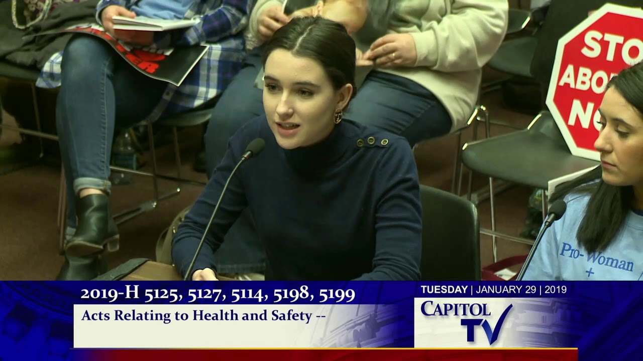 2019 01 30 House Judiciary 132