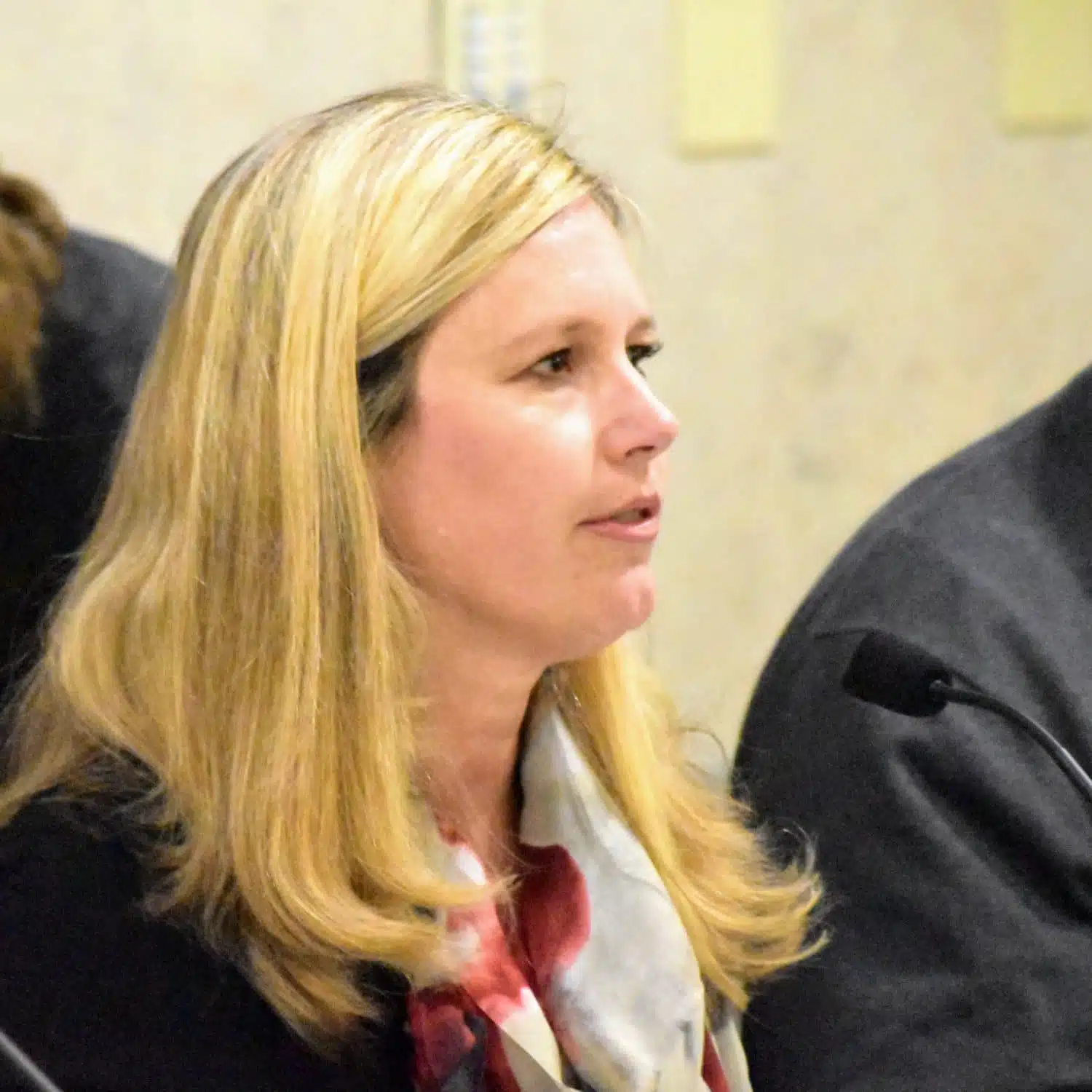 The apparent conflict of interest between National Grid and CRMC Chair Jennifer Cervenka