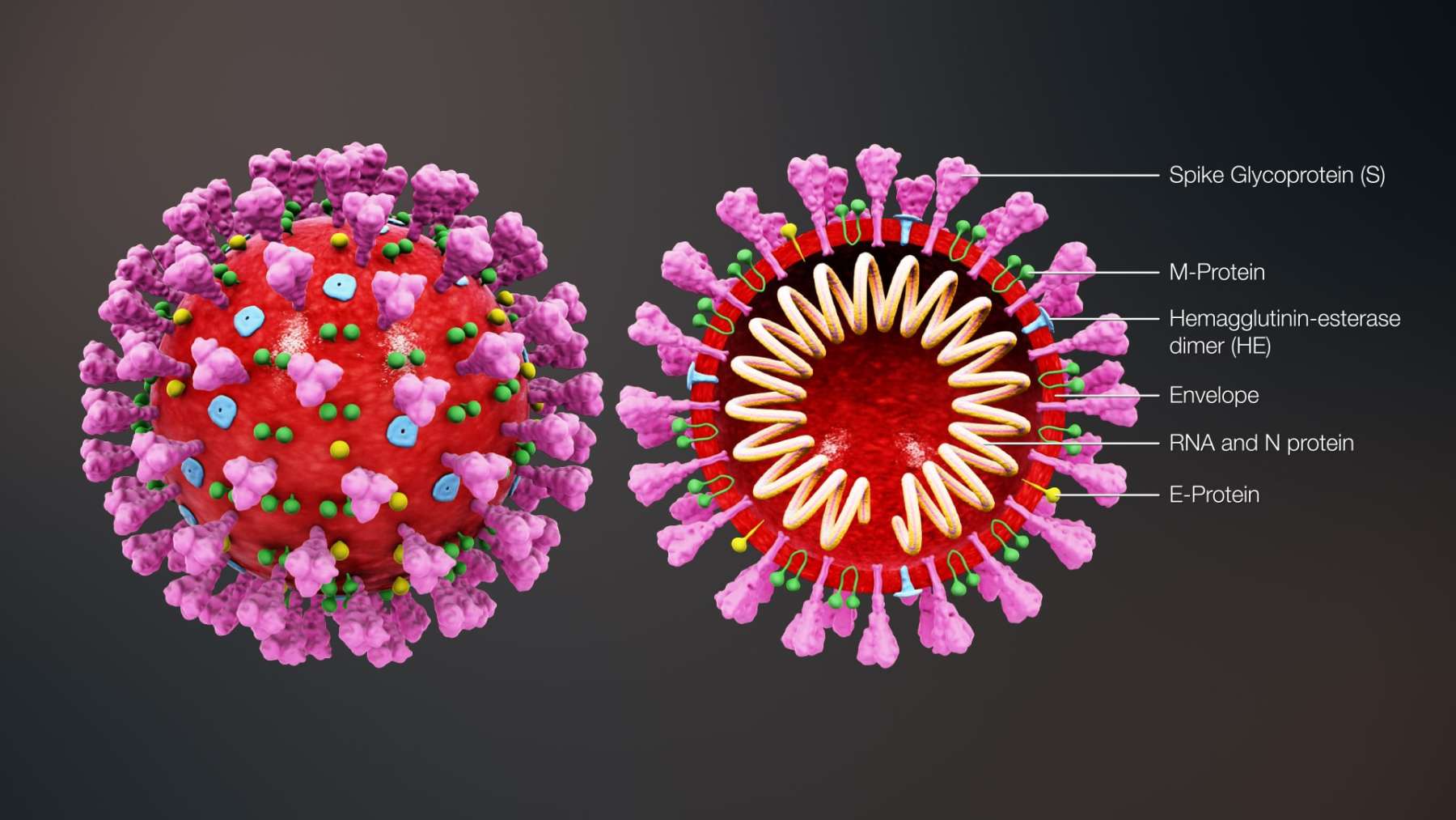 Rhode Island News: Coronavirus exposes deep problems in Rhode Island’s healthcare system