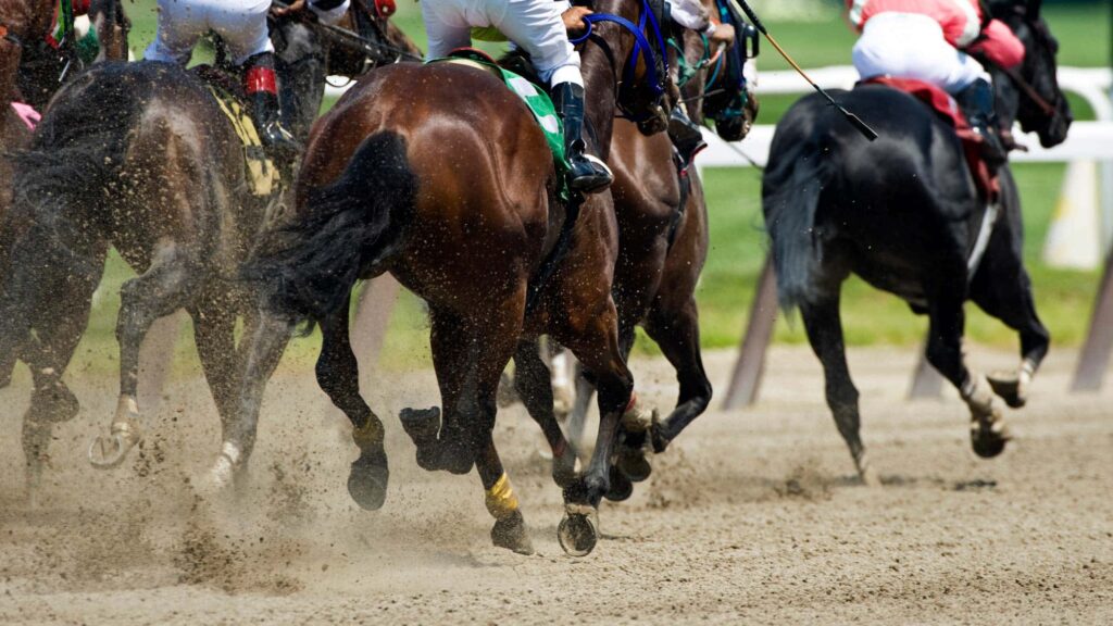 Can We Fix It: Back to the Races Part 1: Providence Mayoral